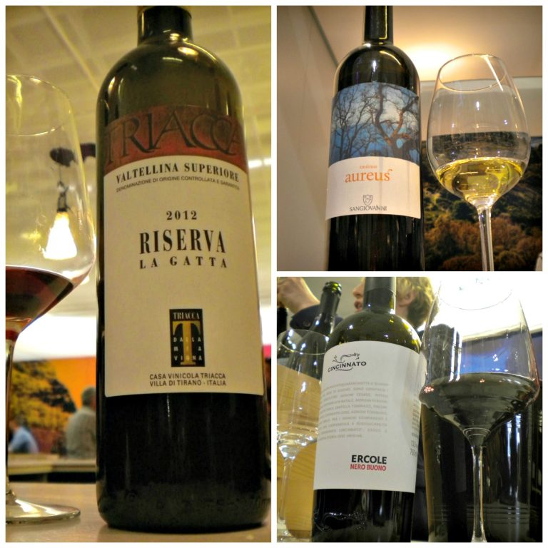 Vitigni autoctoni al Vinitaly 2017, degustazioni.