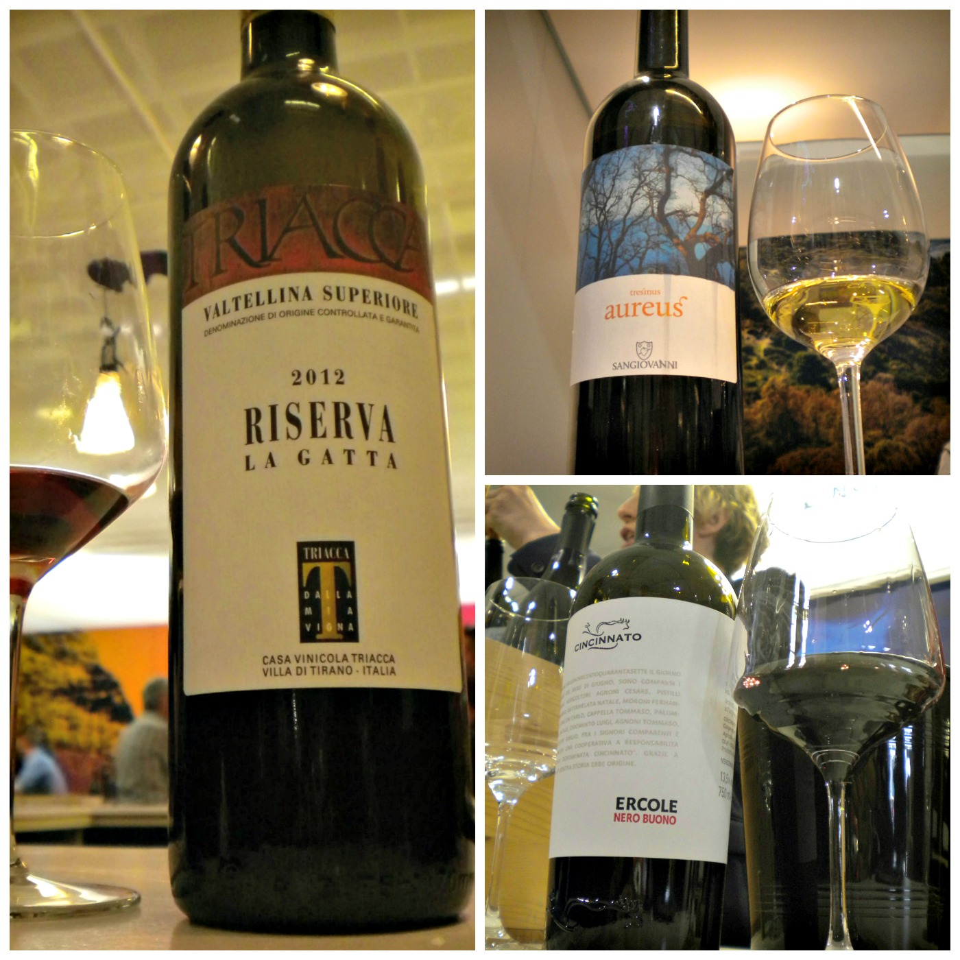 Vitigni autoctoni al Vinitaly 2017, degustazioni.