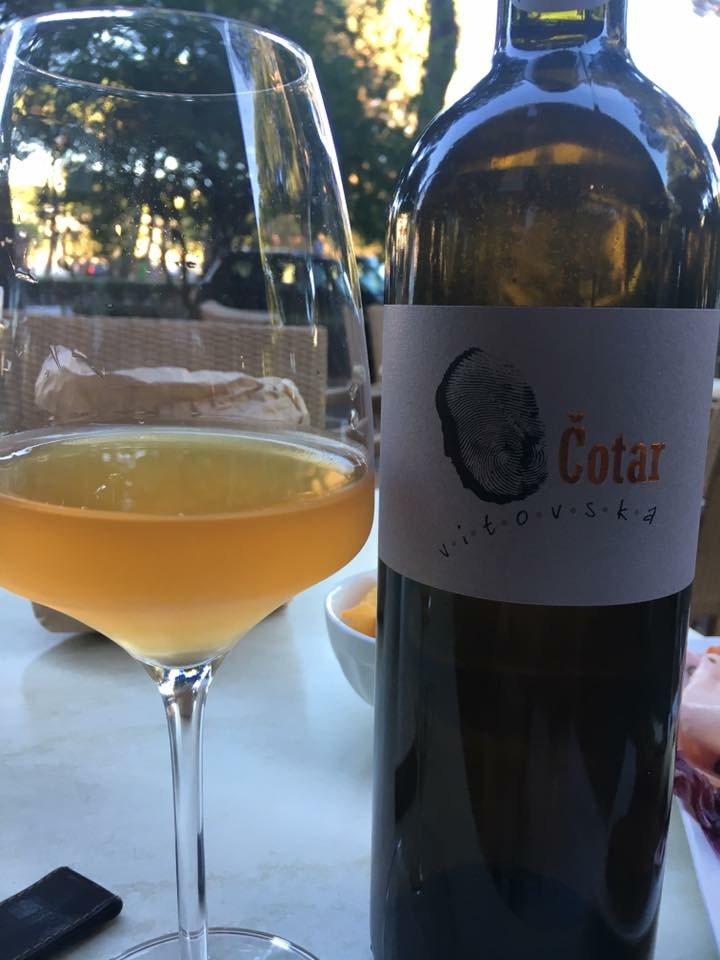 Cotar vitovska