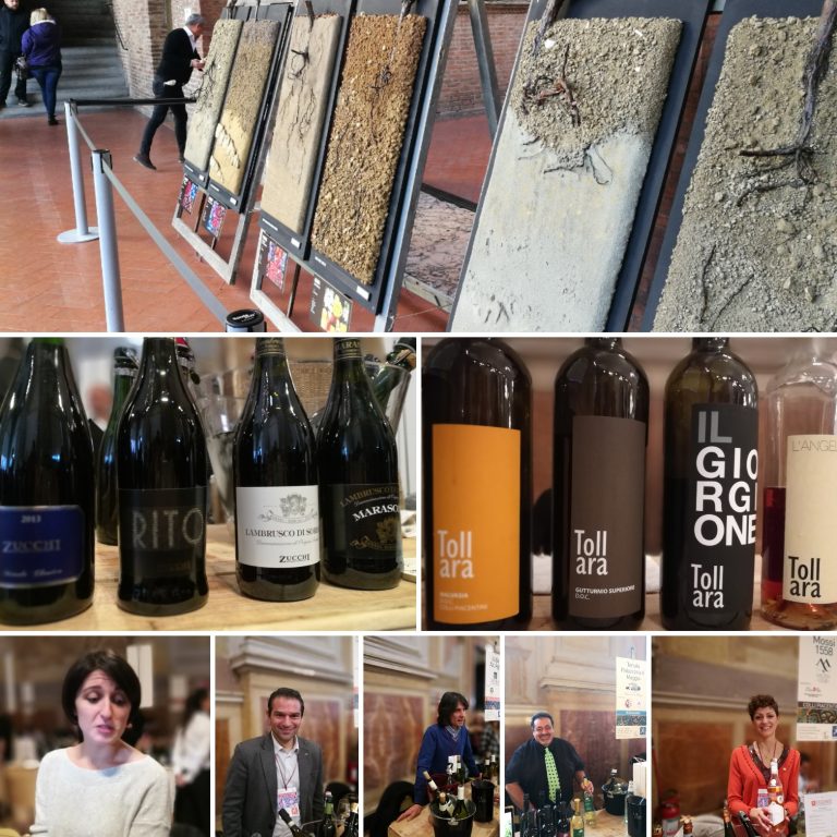 Enologica 2017, Palazzo Re Enzo - Bologna