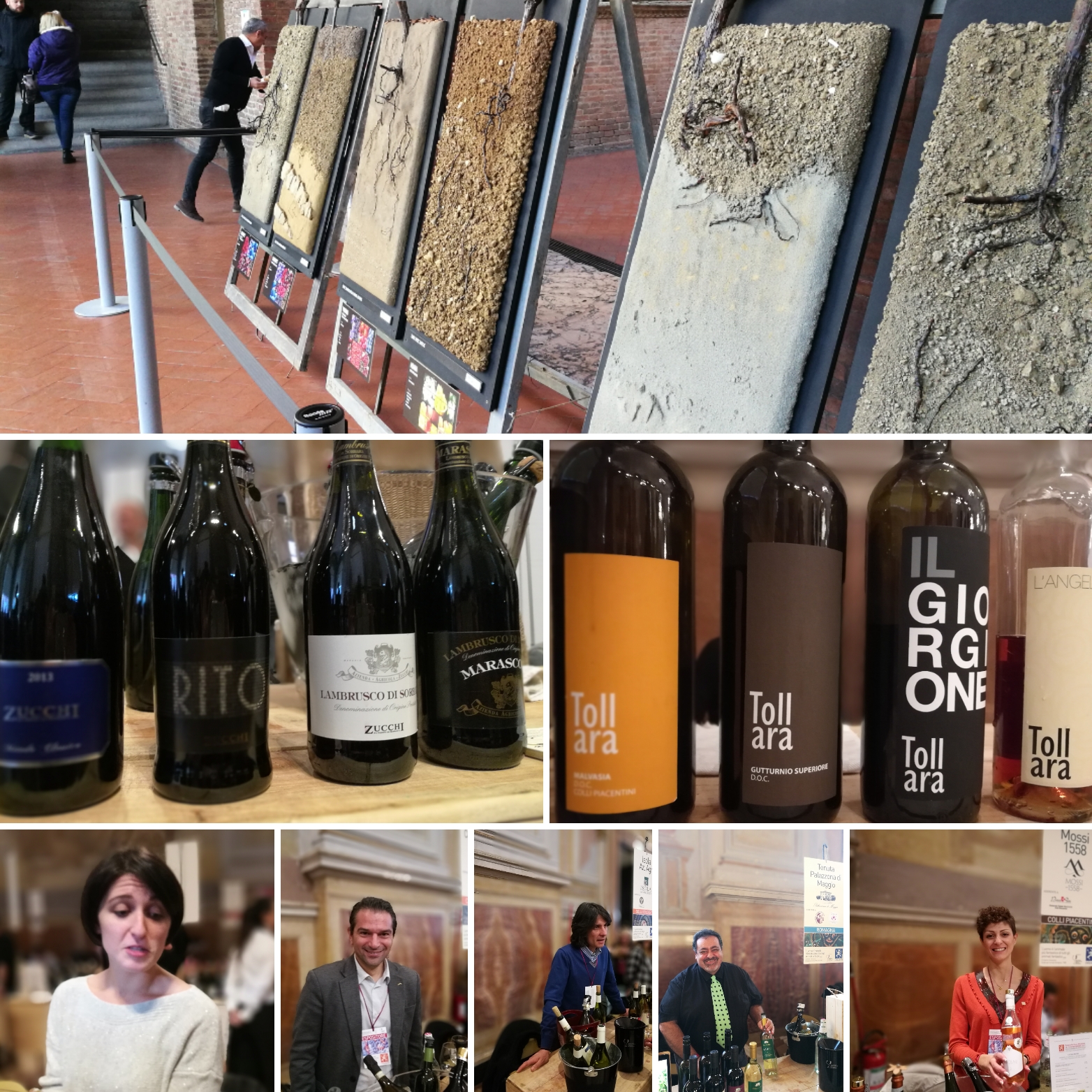 Enologica 2017, Palazzo Re Enzo - Bologna