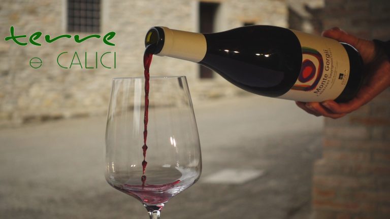 TERRE e CALICI. Storie. Terreni. Vini.