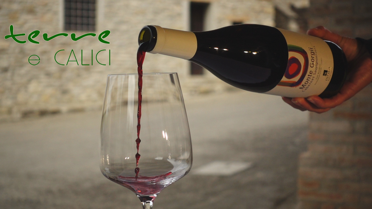 TERRE e CALICI. Storie. Terreni. Vini.